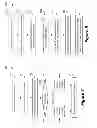 Fig. 07 - Intelligent roaming and interworking