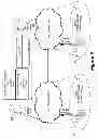Fig. 08 - Intelligent roaming and interworking