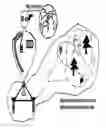 Fig. 01 - Interactive embodied robot videogame through the use of sensors and physical objects