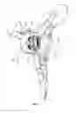Fig. 02 - Constant velocity universal joint for helicopter rotor