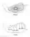 Fig. 15 - GOLF CLUB WITH TRUSS