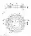 Fig. 07 - Sprocket module for a bicycle and sprocket assembly comprising such a module
