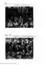 Fig. 09 - Granules and process for their production
