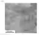 Fig. 02 - Heterogeneous copper nanocatalyst and manufacturing methods thereof