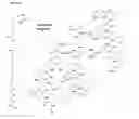 Fig. 40 - Akt-specific capture agents, compositions, and methods of using and making