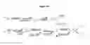 Fig. 47 - Akt-specific capture agents, compositions, and methods of using and making