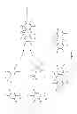Fig. 02 - Fluorescent dye compounds, conjugates and uses thereof