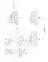 Fig. 05 - Fluorescent dye compounds, conjugates and uses thereof