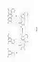 Fig. 08 - Fluorescent dye compounds, conjugates and uses thereof