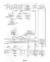 Fig. 07 - Methods and Compositions for Species-Specific Kinome Microarrays