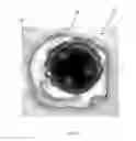 Fig. 02 - HIGH RESOLUTION CHARACTERIZATION OF BIOLOGICAL MATRICES