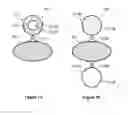 Fig. 02 - Extraction and detection of pathogens using carbohydrate-functionalized biosensors
