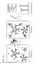 Fig. 02 - Multiplexed detection with isotope-coded reporters