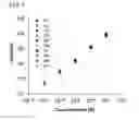 Fig. 07 - Multiplexed detection with isotope-coded reporters