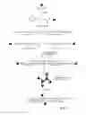 Fig. 02 - Magnetic-nanoparticle conjugates and methods of use