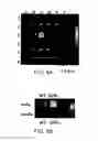 Fig. 08 - Magnetic-nanoparticle conjugates and methods of use