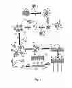 Fig. 02 - Method for identifying aptamers