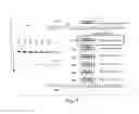 Fig. 08 - PARTICLE-ASSISTED NUCLEIC ACID SEQUENCING