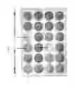 Fig. 02 - PROCESS FOR DEGRADING A BIOFILM ON SURFACES OF OBJECTS