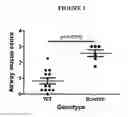 Fig. 02 - METHOD OF TREATING MUCUS HYPERSECRETION