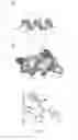 Fig. 07 - Anti-microbial peptides and methods of use thereof