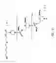 Fig. 02 - Antisense antiviral compound and method for treating influenza viral infection