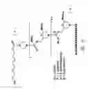 Fig. 04 - Antisense antiviral compound and method for treating influenza viral infection