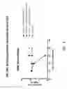 Fig. 12 - Antisense antiviral compound and method for treating influenza viral infection