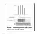 Fig. 02 - Compositions and Methods For Inhibiting Immunodeficiency Virus Transcription