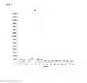 Fig. 07 - Chromobacterium Bioactive Compositions and Metabolites