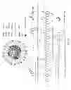 Fig. 02 - Apoptosis-targeting nanoparticles