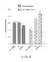 Fig. 08 - SELECTIVE GPCR LIGANDS