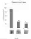 Fig. 27 - Hemoglobin-based oxygen carrier-containing pharmaceutical composition for cancer targeting treatment and prevention of cancer recurrence