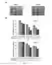 Fig. 28 - Hemoglobin-based oxygen carrier-containing pharmaceutical composition for cancer targeting treatment and prevention of cancer recurrence