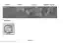 Fig. 29 - Hemoglobin-based oxygen carrier-containing pharmaceutical composition for cancer targeting treatment and prevention of cancer recurrence
