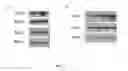 Fig. 30 - Hemoglobin-based oxygen carrier-containing pharmaceutical composition for cancer targeting treatment and prevention of cancer recurrence