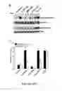 Fig. 06 - Endothelium protective materials and methods of use