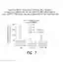 Fig. 09 - PHARMACEUTICAL COMPOSITION, METHODS FOR TREATING AND USES THEREOF