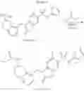 Fig. 197 - Benzoxazolinone compounds with selective activity in voltage-gated sodium channels