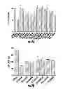 Fig. 03 - Compounds for treating peripheral; neuropathies and other neurodegenerative; disorders