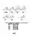 Fig. 04 - Compounds for treating peripheral; neuropathies and other neurodegenerative; disorders