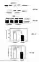 Fig. 08 - Compositions and methods for the treatment of metabolic disorders