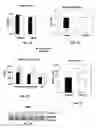 Fig. 09 - Compositions and methods for the treatment of metabolic disorders