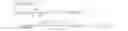 Fig. 06 - Auto-recognizing therapeutic RNA/DNA chimeric nanoparticles (NP)