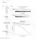 Fig. 35 - Auto-recognizing therapeutic RNA/DNA chimeric nanoparticles (NP)