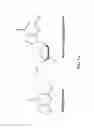 Fig. 02 - Telomerase mediated telomere altering compounds