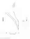Fig. 09 - Telomerase mediated telomere altering compounds