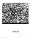 Fig. 06 - Process for Making and Using Cellulose-Containing Seaweed Residue and Products Made Therefrom