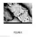 Fig. 07 - Process for Making and Using Cellulose-Containing Seaweed Residue and Products Made Therefrom