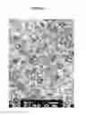 Fig. 02 - Method for making a high impact polystyrene with high gloss and high impact strength